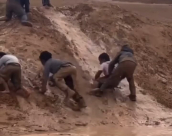 فيديو: هكذا يلهوا الأطفال في النقب 